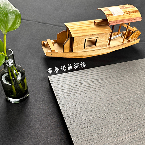 布魯諾菲棕橡